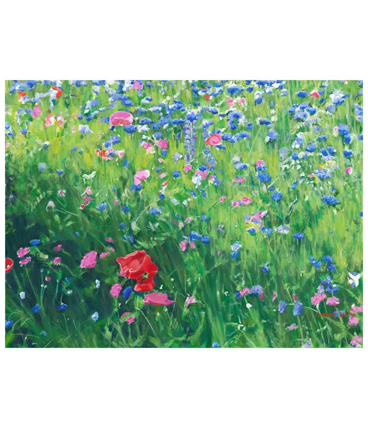 Nantucket Poppies and Bachelors