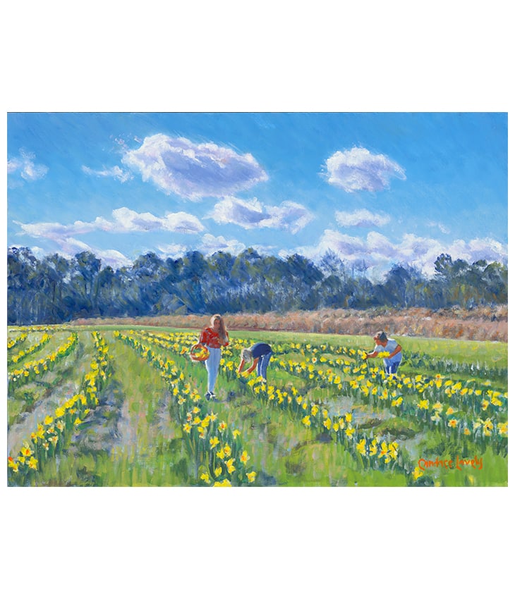 Lovely Daffodils