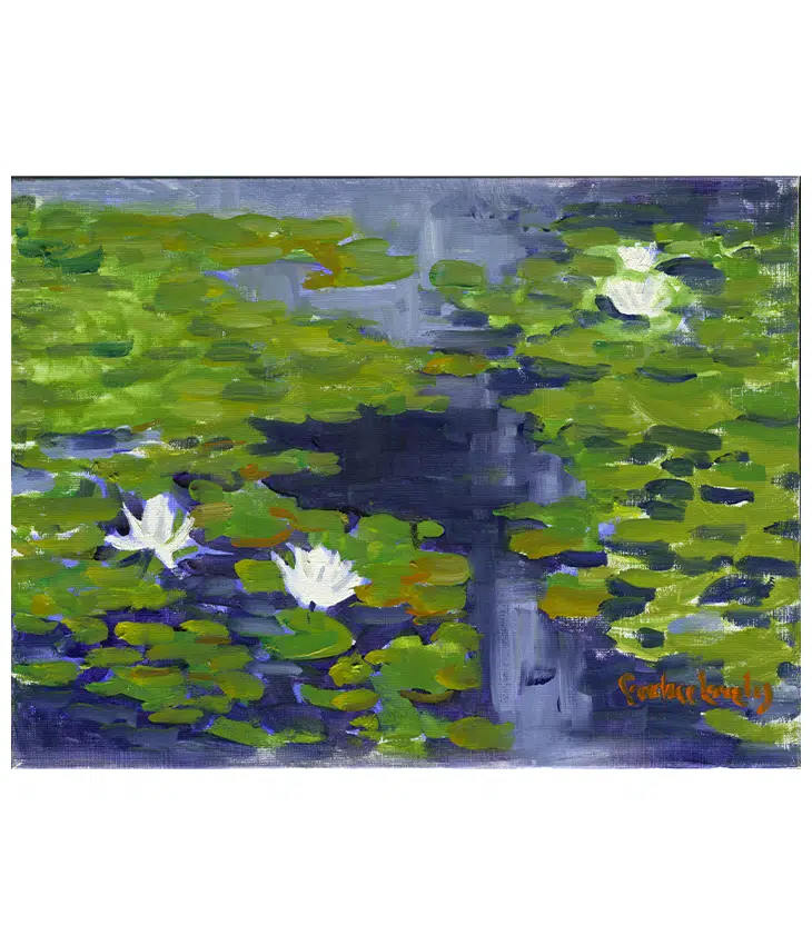 Hendersonville Water Lilies