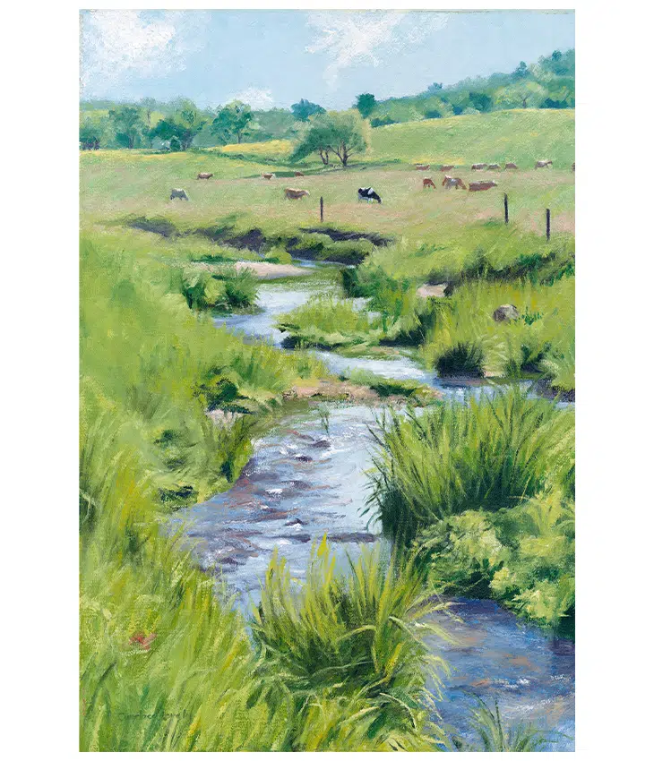 Spencer Hollow Meadow