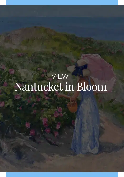 View_Hover_Nantucket_in_Bloom
